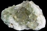 Sea-foam Green, Cubic Fluorite Crystal Cluster - Morocco #138253-1